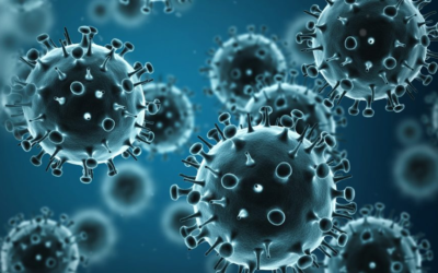 CHIEF CLINICAL ADVISOR ALERT : Available Flu Resources